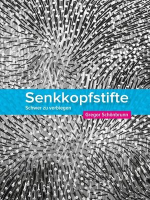 cover image of Senkkopfstifte